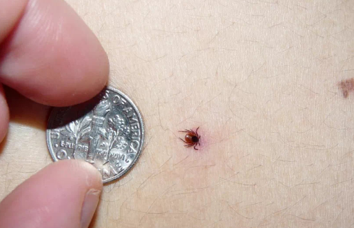 ����涣ҧ��Ҫ�û����� �����ҧ��һ��������